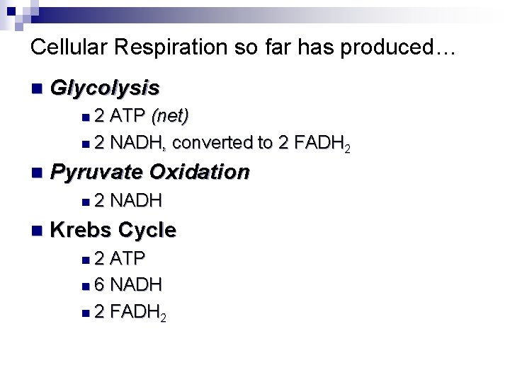 Cellular Respiration so far has produced… n Glycolysis n 2 ATP (net) n 2