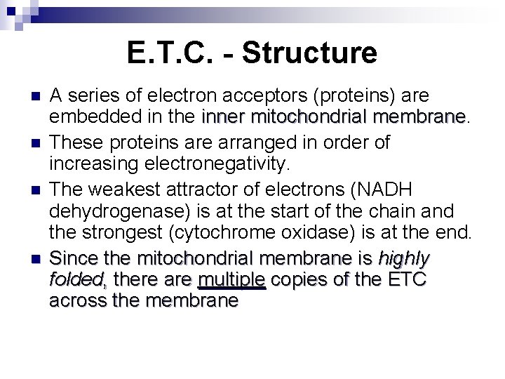 E. T. C. - Structure n n A series of electron acceptors (proteins) are