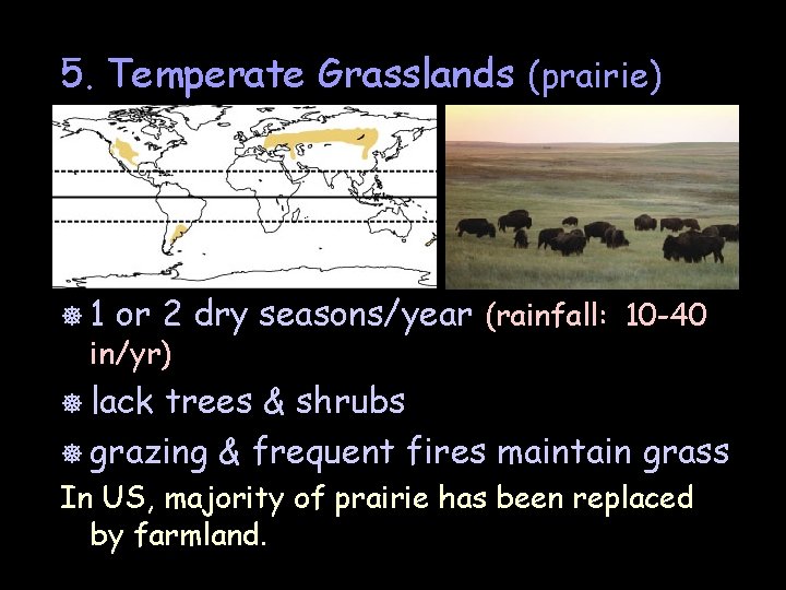 5. Temperate Grasslands (prairie) ]1 or 2 dry seasons/year (rainfall: 10 -40 in/yr) ]