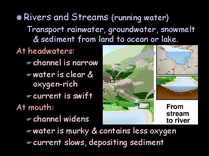 ] Rivers and Streams (running water) Transport rainwater, groundwater, snowmelt & sediment from land