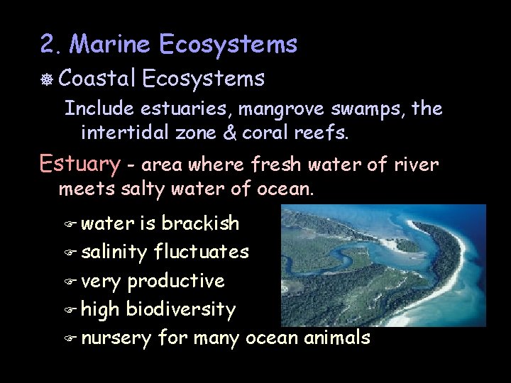 2. Marine Ecosystems ] Coastal Ecosystems Include estuaries, mangrove swamps, the intertidal zone &