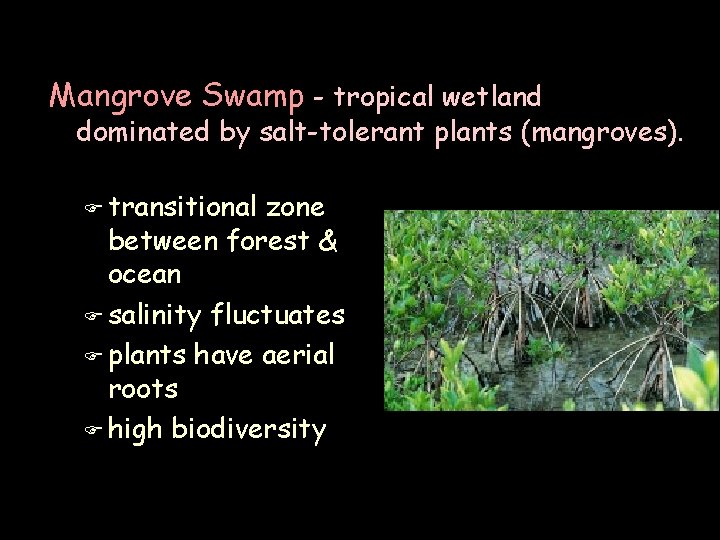 Mangrove Swamp - tropical wetland dominated by salt-tolerant plants (mangroves). F transitional zone between