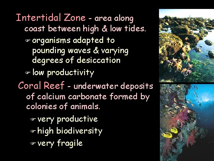 Intertidal Zone - area along coast between high & low tides. F organisms adapted