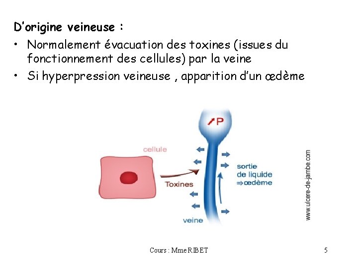 D’origine veineuse : • Normalement évacuation des toxines (issues du fonctionnement des cellules) par