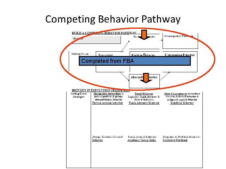 Competing Behavior Pathway Completed from FBA 