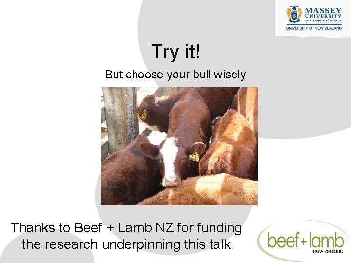 Try it! But choose your bull wisely Thanks to Beef + Lamb NZ for