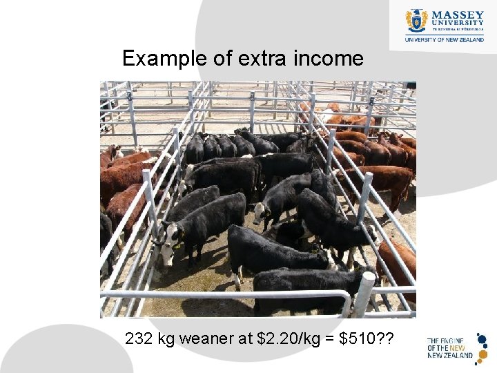 Example of extra income 232 kg weaner at $2. 20/kg = $510? ? 