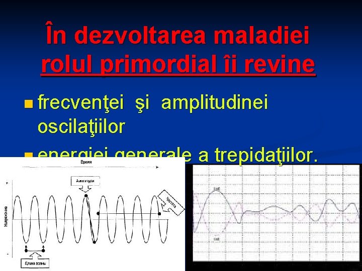 În dezvoltarea maladiei rolul primordial îi revine n frecvenţei şi amplitudinei oscilaţiilor n energiei