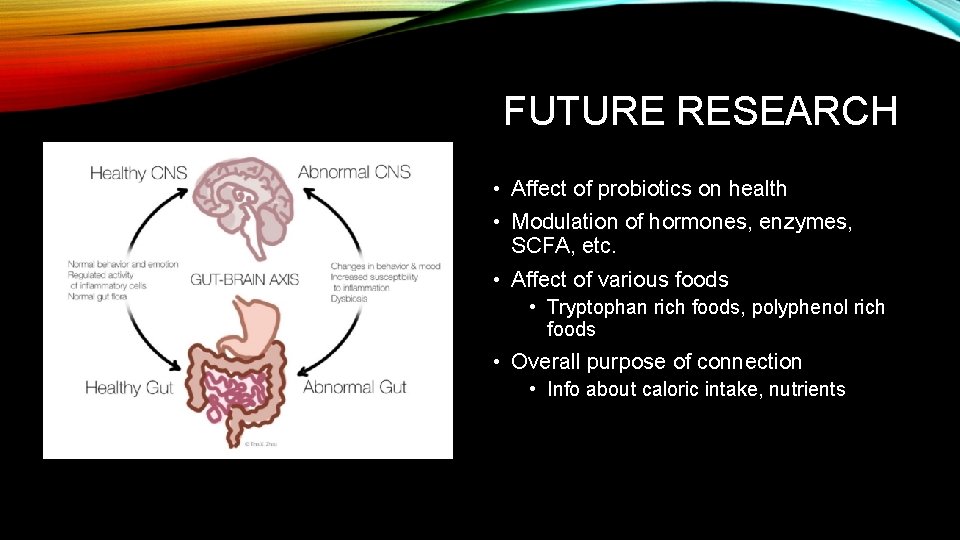 FUTURE RESEARCH • Affect of probiotics on health • Modulation of hormones, enzymes, SCFA,