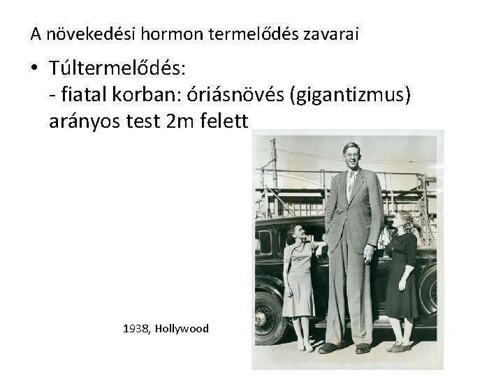 A növekedési hormon termelődés zavarai • Túltermelődés: - fiatal korban: óriásnövés (gigantizmus) arányos test