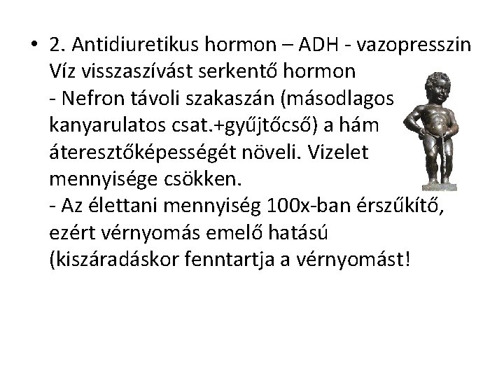  • 2. Antidiuretikus hormon – ADH - vazopresszin Víz visszaszívást serkentő hormon -