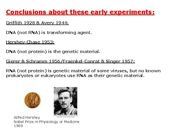 Conclusions about these early experiments: Griffith 1928 & Avery 1944: DNA (not RNA) is
