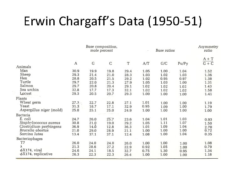 Erwin Chargaff’s Data (1950 -51) 