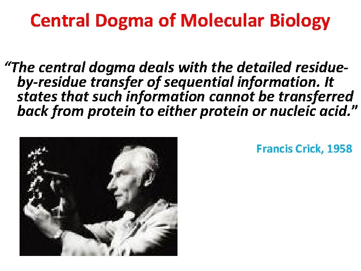 Central Dogma of Molecular Biology “The central dogma deals with the detailed residueby-residue transfer