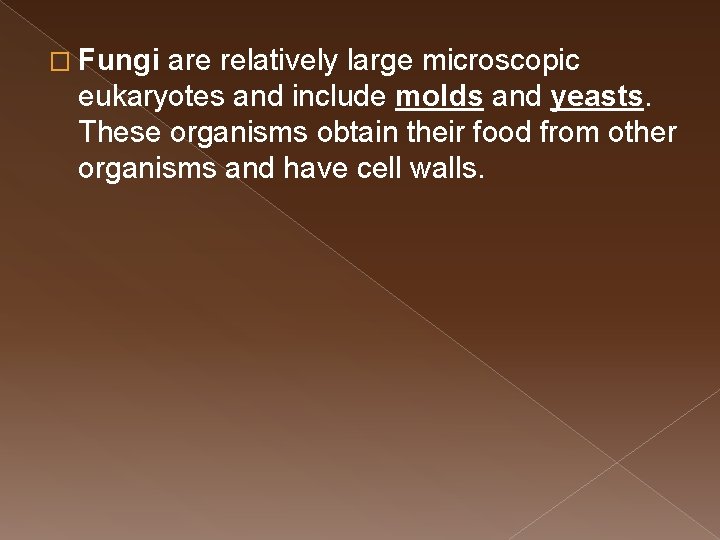 � Fungi are relatively large microscopic eukaryotes and include molds and yeasts. These organisms