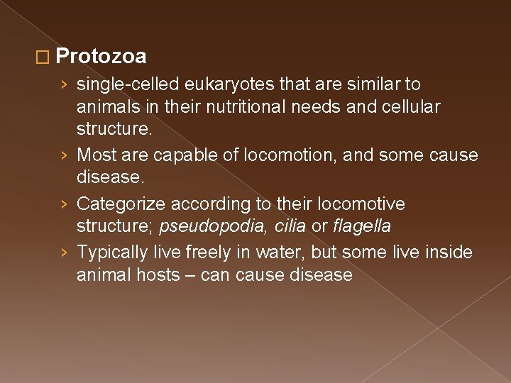 � Protozoa › single-celled eukaryotes that are similar to animals in their nutritional needs