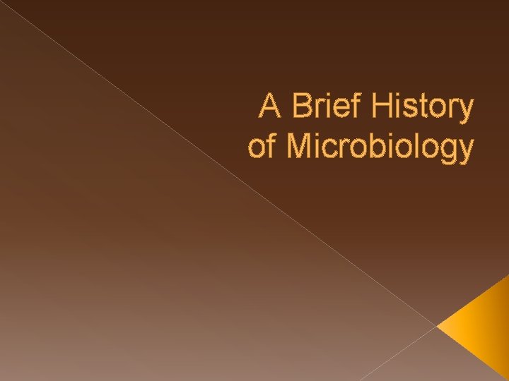 A Brief History of Microbiology 