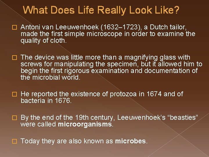 What Does Life Really Look Like? � Antoni van Leeuwenhoek (1632– 1723), a Dutch