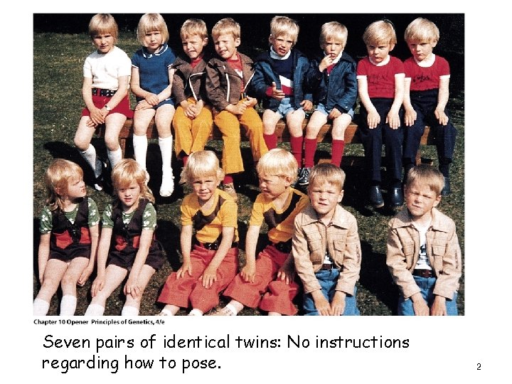 Seven pairs of identical twins: No instructions regarding how to pose. 2 