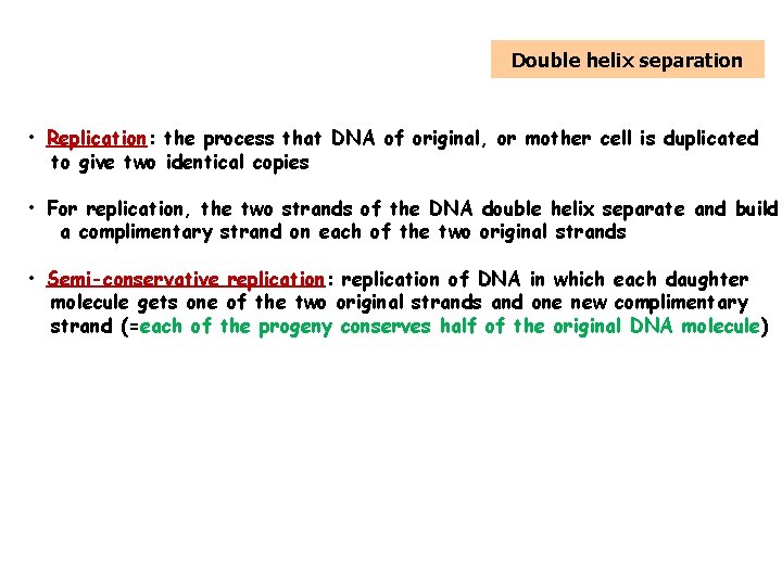 5. Replication of DNA Double helix separation • Replication: the process that DNA of