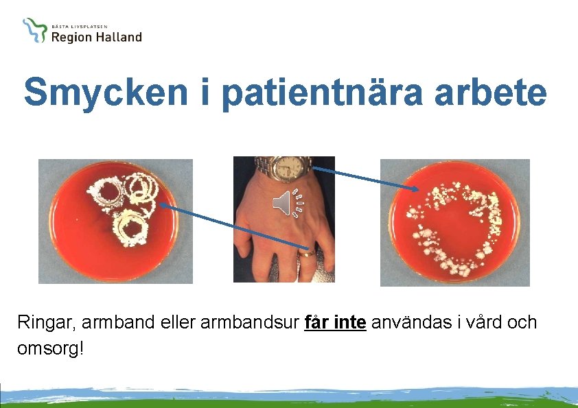 Smycken i patientnära arbete Ringar, armband eller armbandsur får inte användas i vård och