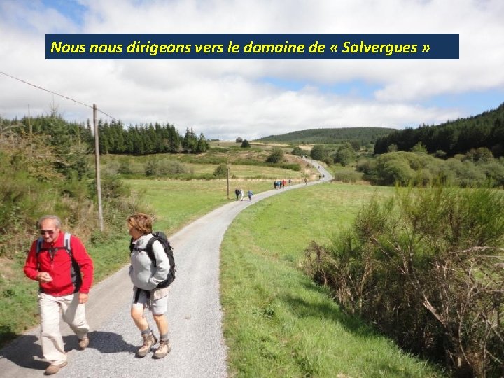 Nous nous dirigeons vers le domaine de « Salvergues » 