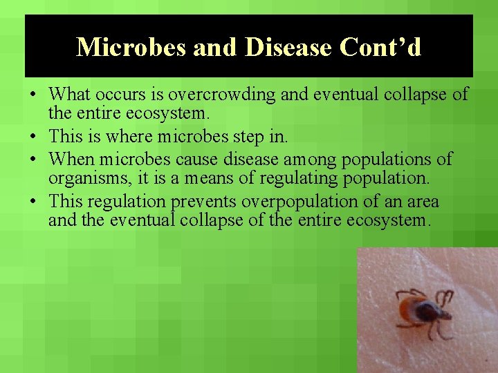 Microbes and Disease Cont’d • What occurs is overcrowding and eventual collapse of the
