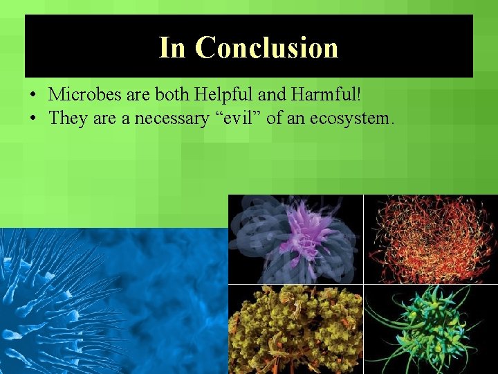 In Conclusion • Microbes are both Helpful and Harmful! • They are a necessary