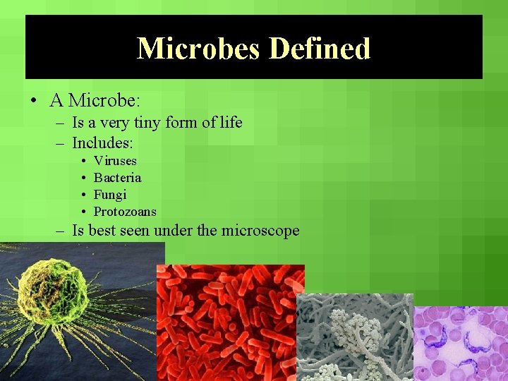 Microbes Defined • A Microbe: – Is a very tiny form of life –