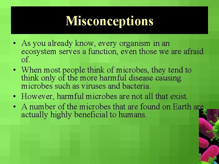 Misconceptions • As you already know, every organism in an ecosystem serves a function,