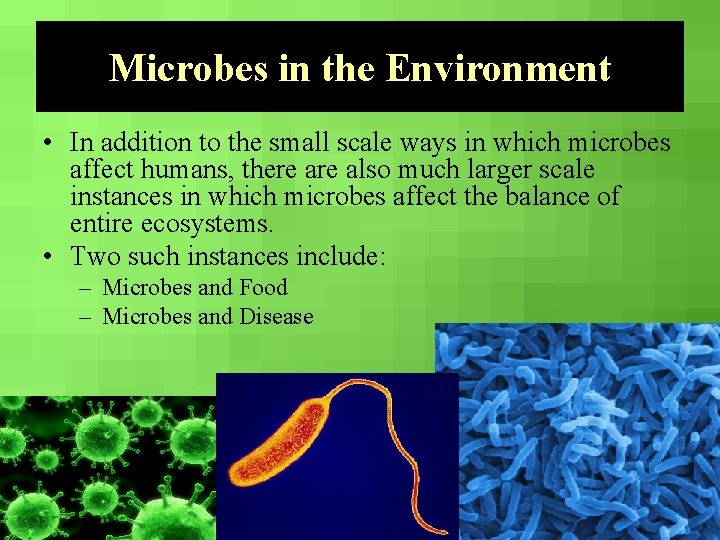 Microbes in the Environment • In addition to the small scale ways in which