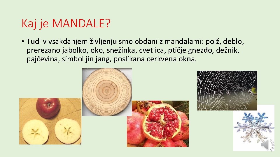Kaj je MANDALE? • Tudi v vsakdanjem življenju smo obdani z mandalami: polž, deblo,