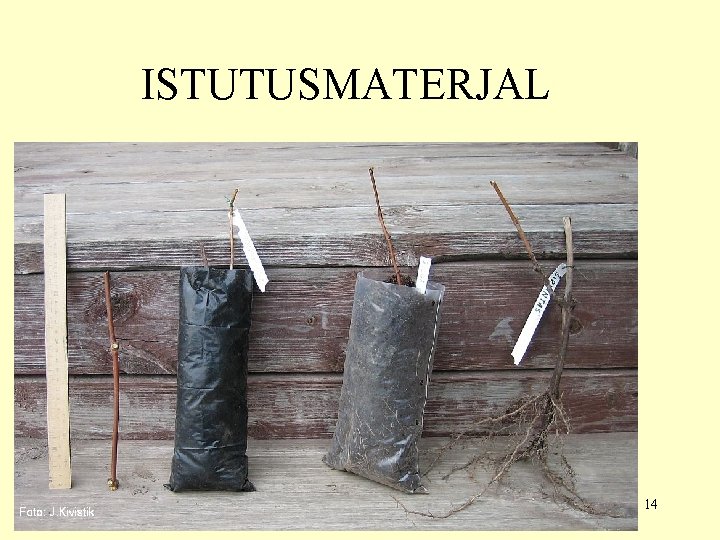 ISTUTUSMATERJAL 14 