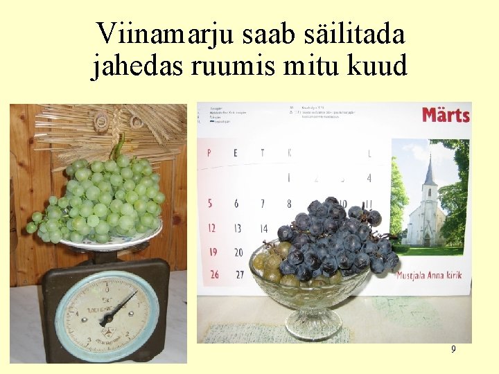 Viinamarju saab säilitada jahedas ruumis mitu kuud 9 