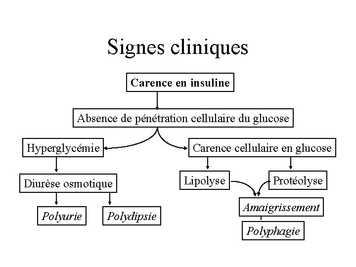 Signes cliniques Carence en insuline Absence de pénétration cellulaire du glucose Hyperglycémie Carence cellulaire