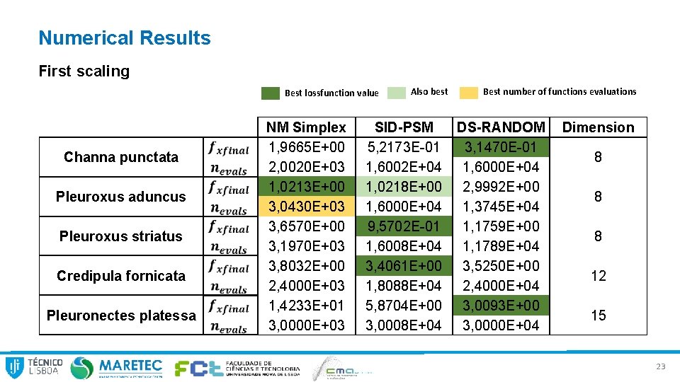 Numerical Results First scaling Best lossfunction value Channa punctata Pleuroxus aduncus Pleuroxus striatus Credipula