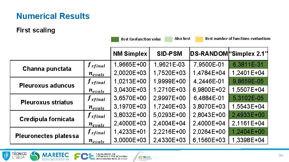 Numerical Results First scaling Best lossfunction value Channa punctata Pleuroxus aduncus Pleuroxus striatus Credipula