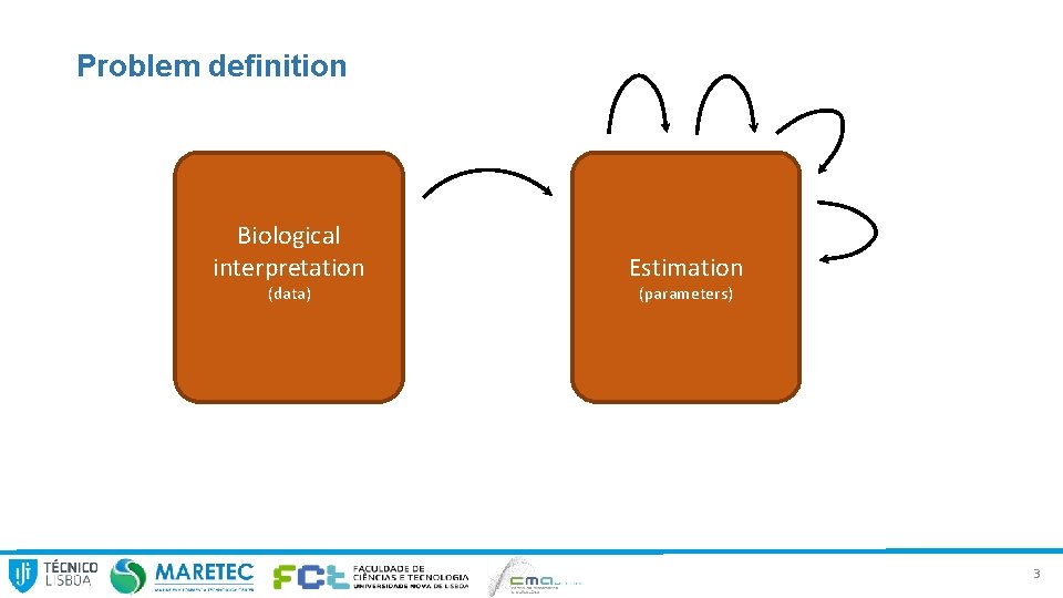 Problem definition Biological interpretation (data) Estimation (parameters) 3 