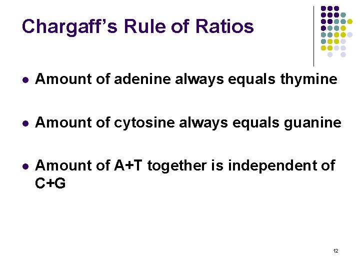 Chargaff’s Rule of Ratios l Amount of adenine always equals thymine l Amount of