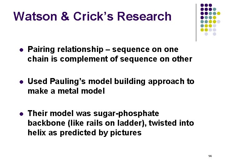 Watson & Crick’s Research l Pairing relationship – sequence on one chain is complement