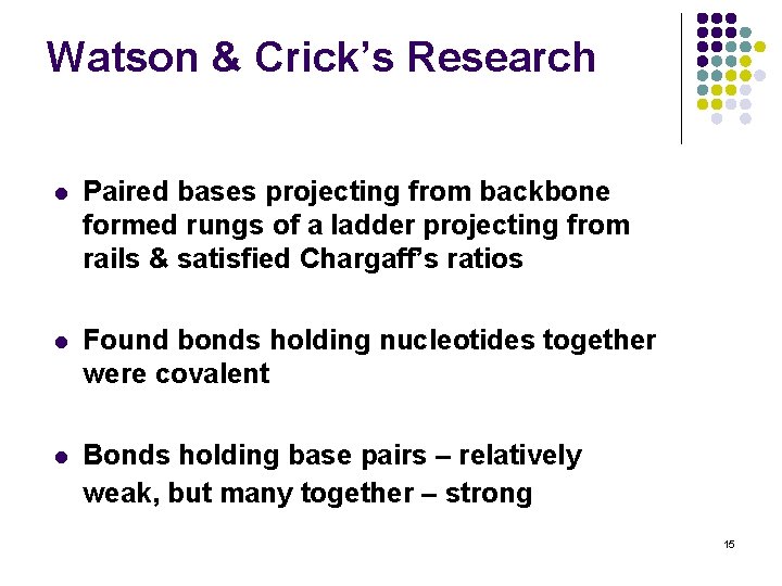 Watson & Crick’s Research l Paired bases projecting from backbone formed rungs of a