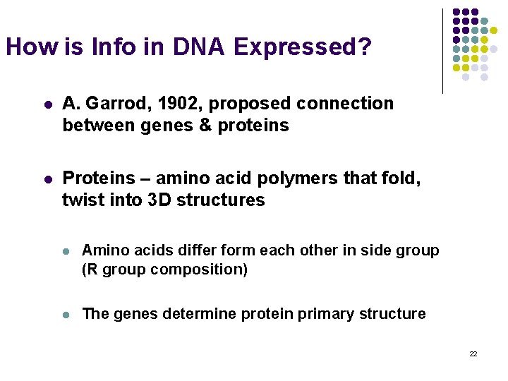 How is Info in DNA Expressed? l A. Garrod, 1902, proposed connection between genes
