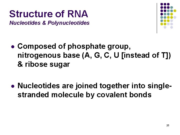 Structure of RNA Nucleotides & Polynucleotides l Composed of phosphate group, nitrogenous base (A,