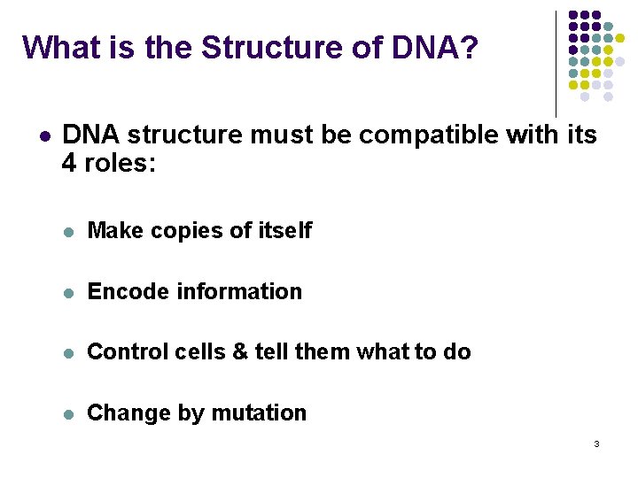 What is the Structure of DNA? l DNA structure must be compatible with its