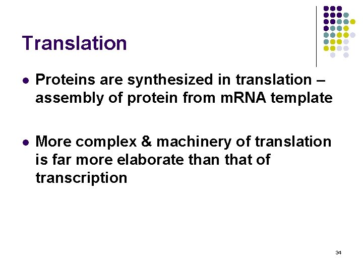 Translation l Proteins are synthesized in translation – assembly of protein from m. RNA