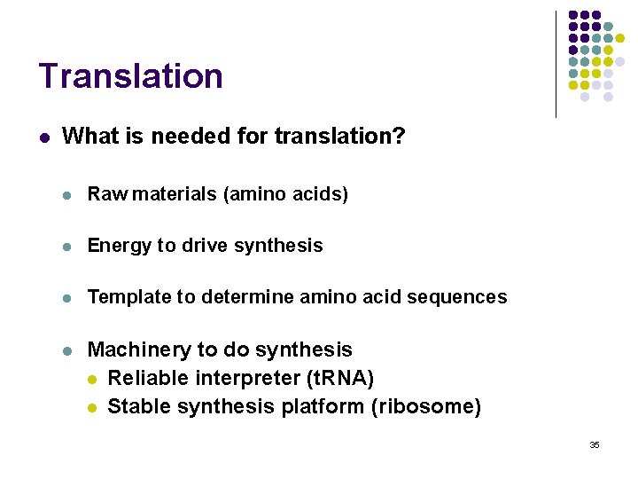 Translation l What is needed for translation? l Raw materials (amino acids) l Energy