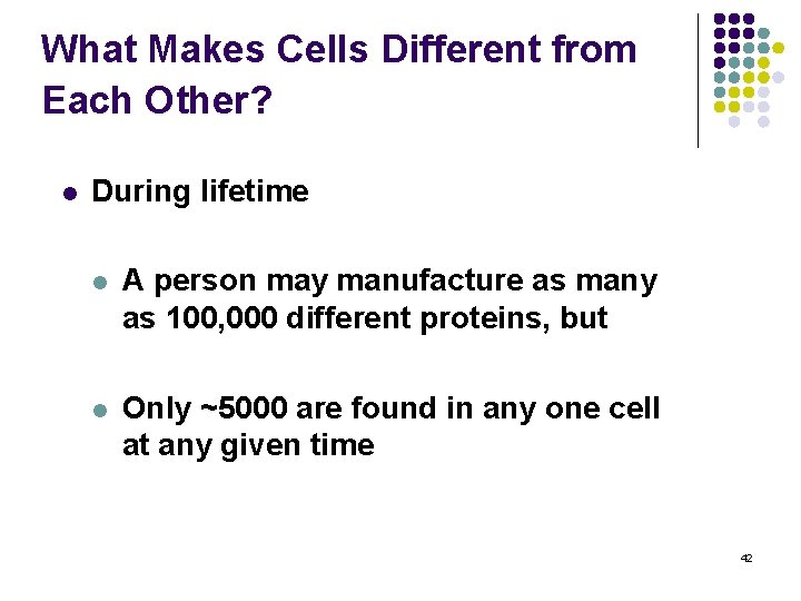 What Makes Cells Different from Each Other? l During lifetime l A person may