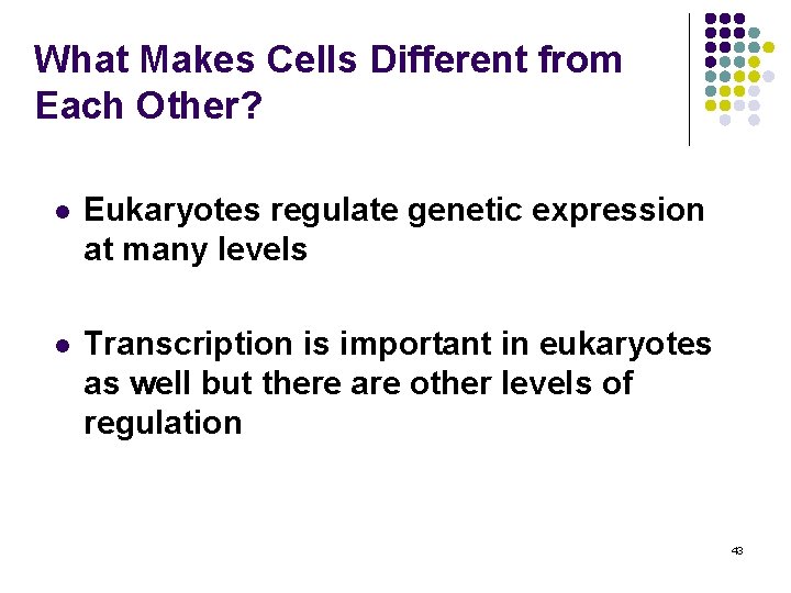 What Makes Cells Different from Each Other? l Eukaryotes regulate genetic expression at many