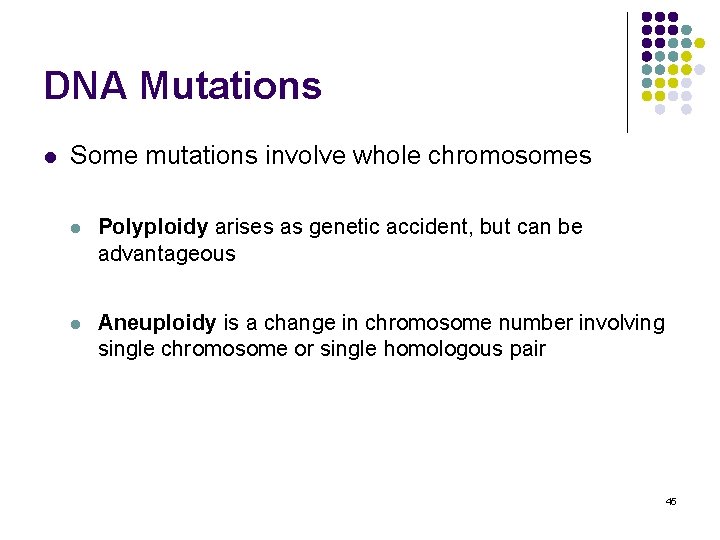 DNA Mutations l Some mutations involve whole chromosomes l Polyploidy arises as genetic accident,
