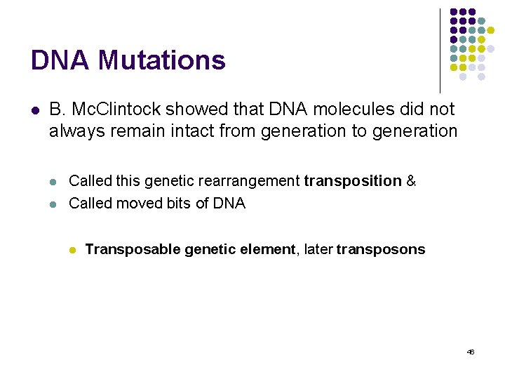 DNA Mutations l B. Mc. Clintock showed that DNA molecules did not always remain